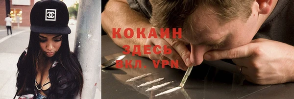 таблы Новозыбков