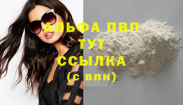 таблы Новозыбков