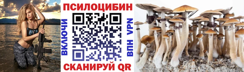 наркошоп  Когалым  Галлюциногенные грибы Psilocybine cubensis 