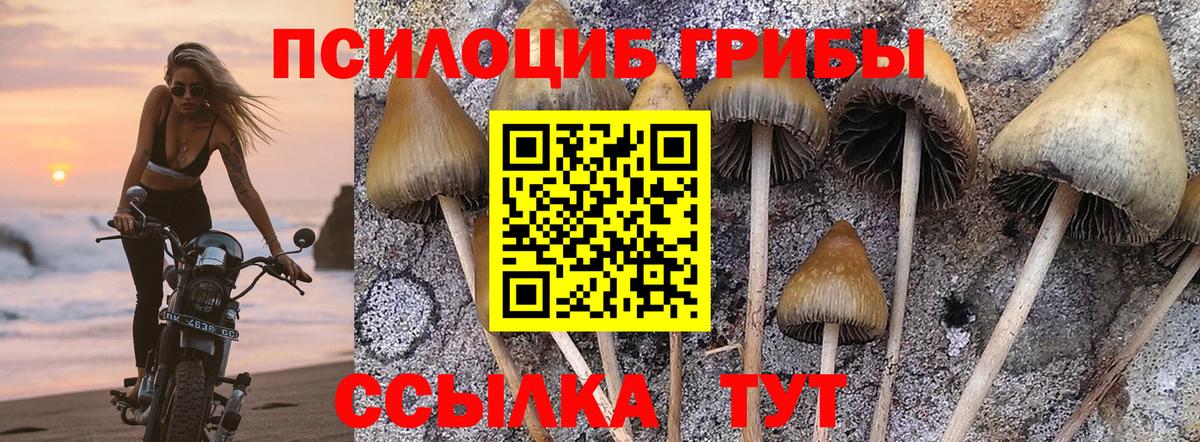 Псилоцибиновые грибы прущие грибы  Вход с VPN  сколько стоит  Галлюциногенные грибы мицелий  Когалым 