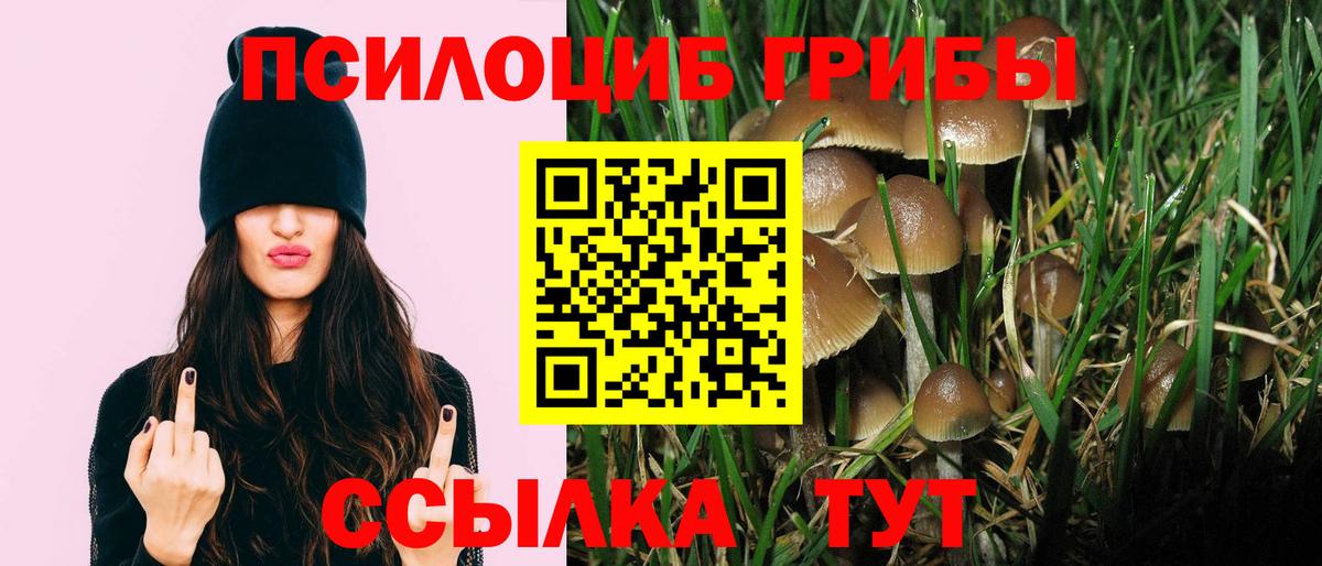 Галлюциногенные грибы Psilocybine cubensis Когалым