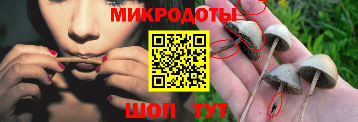 Галлюциногенные грибы MAGIC MUSHROOMS Когалым